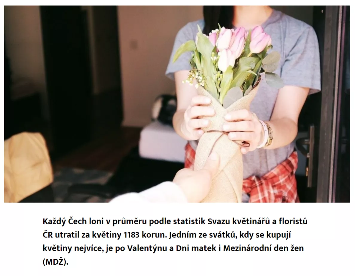 stažený soubor (3).png